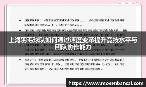 上海羽毛球队如何通过速度变革提升竞技水平与团队协作能力