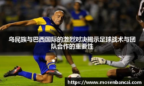 星座娱乐平台登陆入口